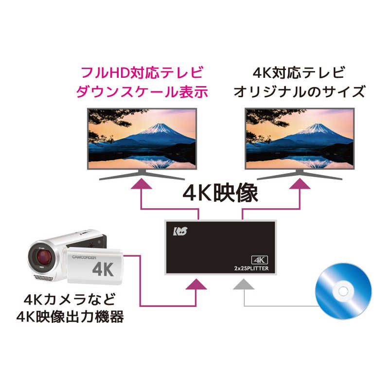 ラトックシステム ラトックシステム 入力切替機能付HDMI分配器(ダウンスケール対応) RS-HDSP22-4K RS-HDSP22-4K