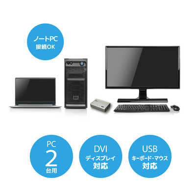 ラトックシステム DVIパソコン切替器(2台用) [2入力 /1出力] RS-230UDA