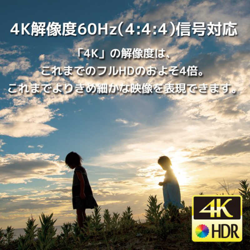 ラトックシステム ラトックシステム 4K60Hz対応 5入力1出力 HDMI切替器 ［5入力 ／1出力 ／4K対応 ／手動］ RSHDSW514KZ RSHDSW514KZ