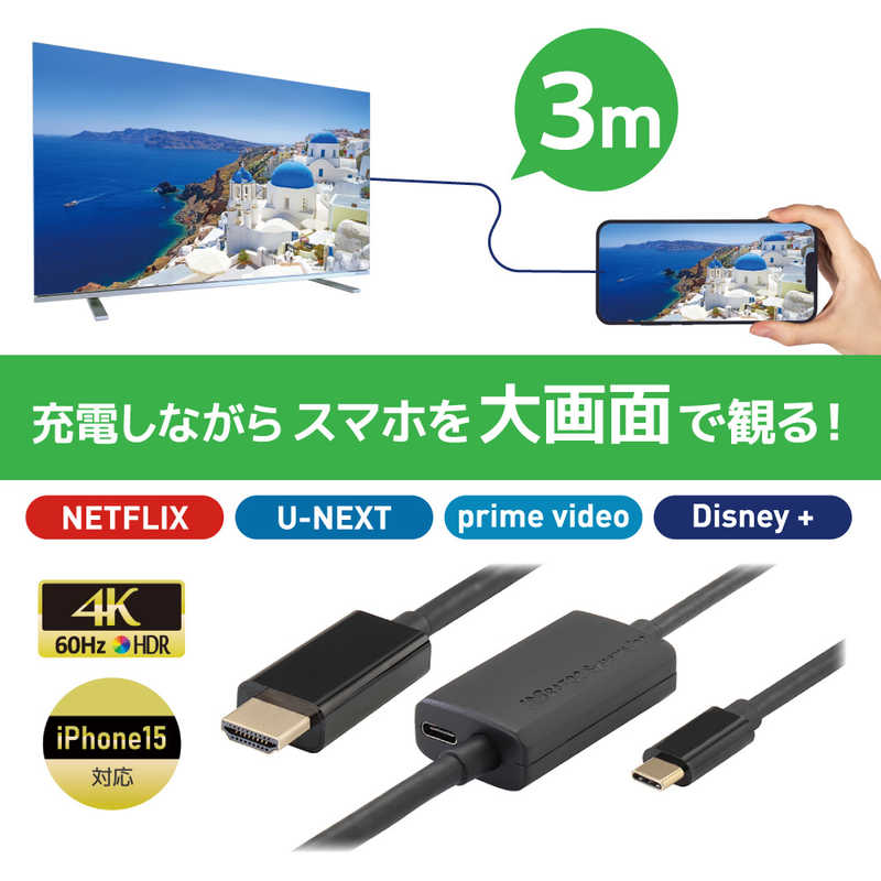 ラトックシステム ラトックシステム USB Type-C to HDMI 変換ケーブル(PD対応・3m) ［Type-Cオス /USB Power Delivery対応］ RSUCHD4K603M RSUCHD4K603M
