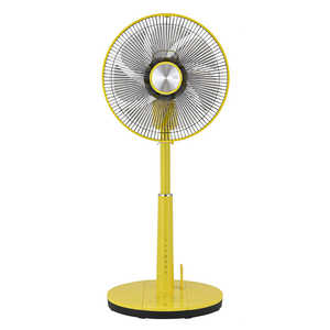 おおたけ DC扇風機 ［DCモーター搭載 / リモコン付き］ GF-DC326FR-Y