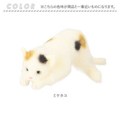童心 リアルキャット Lサイズ ぬいぐるみ ミケネコ REALCATL の通販