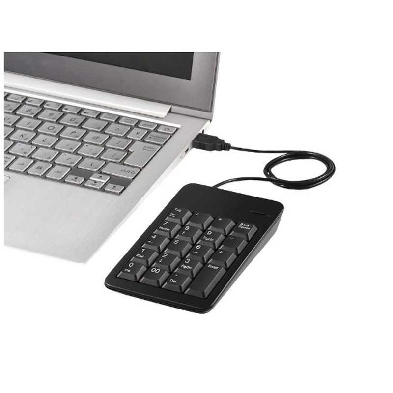 BUFFALO BUFFALO 有線テンキーパッド[USB･Win] Tabキー付き ブラック BSTK100BK BSTK100BK