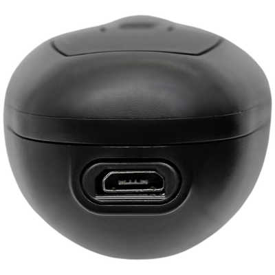 ロゼンスター 電気シェーバー USB充電交流式 ［2枚刃］ SR-652 の通販