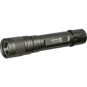 ȥ LED եå饤 LED FLP-2307