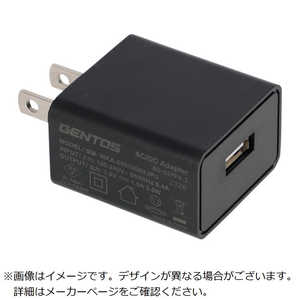 ジェントス アダプター AD029FV3 ジェントス アダプター AD029FV3