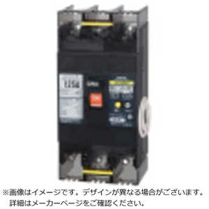 テンパール工業 BU-123.1EC 100A リードセンツキ SD BU12301EC10SV テンパール工業 BU-123.1EC 100A リードセンツキ SD BU12301EC10SV