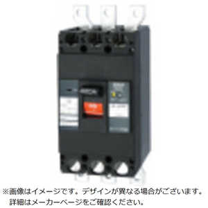 テンパール工業 GBL-403EA 250A W2 ジエン FP 403EA25W2LF