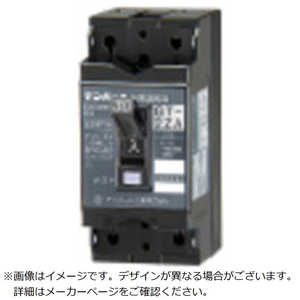 テンパール工業 GB-103EC 100A W2 FP 103EC10W2F テンパール工業 GB-103EC 100A W2 FP 103EC10W2F