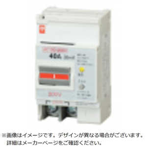テンパール工業 GB-103EC 75A W2 200-415V FP 103EC07W24F テンパール工業 GB-103EC 75A W2 200-415V FP 103EC07W24F