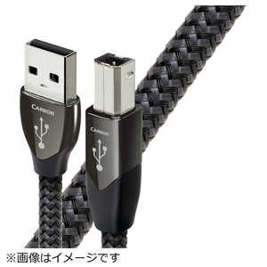 USB 2 Carbon USB2/CAR/0.75M [0.75m]