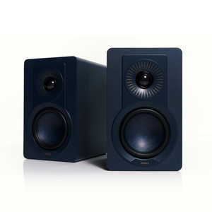 DALI ubNVFtXs[J[ m2{n `[Eu[ KUPIDCB