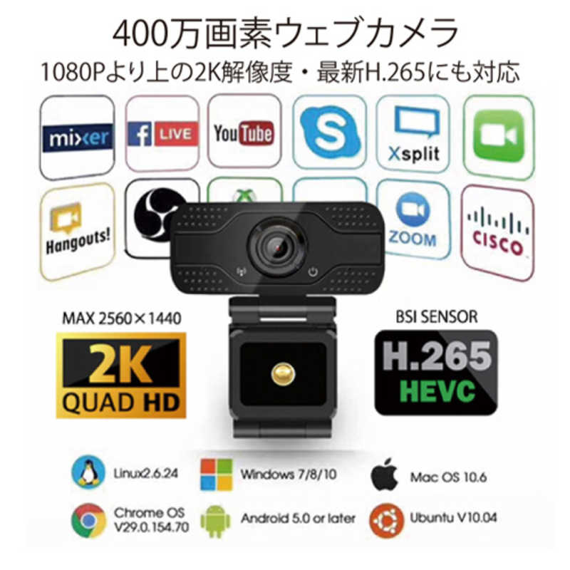 トーホー トーホー ウェブカメラ マイク内蔵 [暗視対応 /有線] HDC-265M HDC-265M