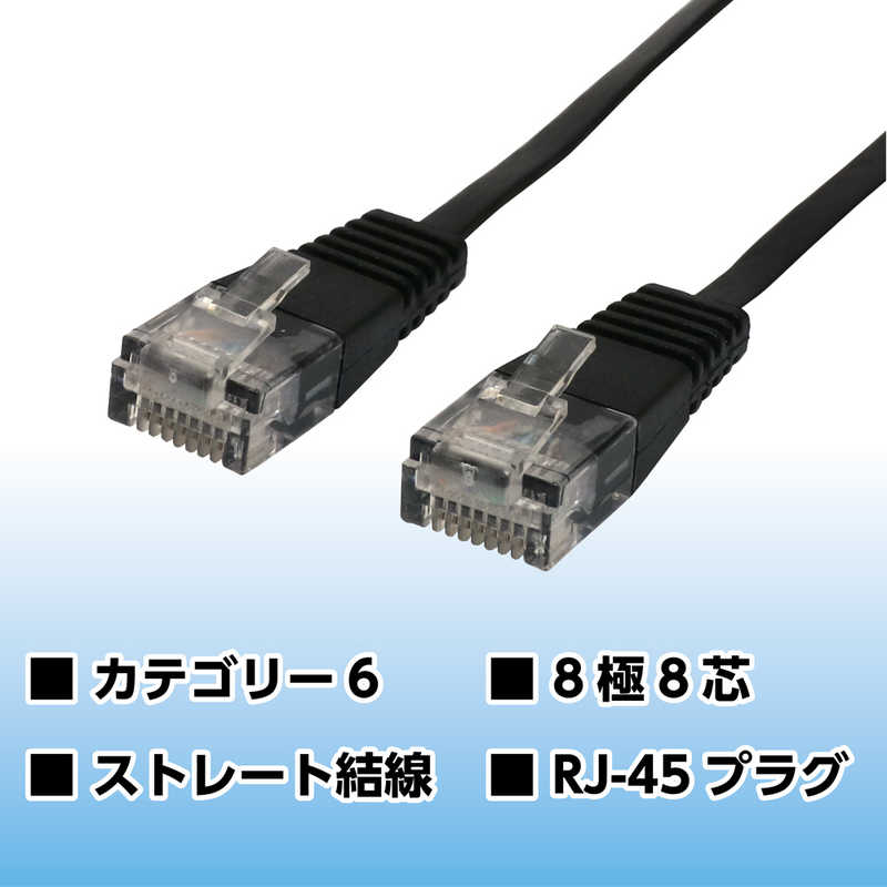 ナカバヤシ ナカバヤシ フラットLANケーブル カテゴリー6対応 (黒･2m) LB-F602BK LB-F602BK