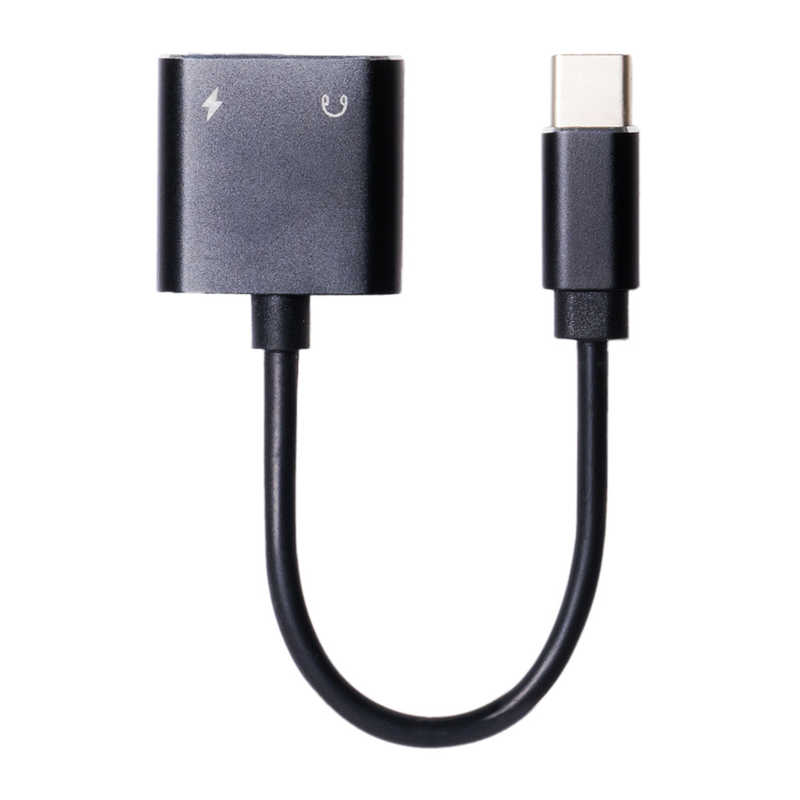 ナカバヤシ ナカバヤシ USB Type-C-イヤホン変換アダプタ 充電 SADCE03 SADCE03