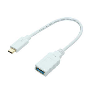ʥХ䥷 Type-Cۥȥץ USB3.1Gen2б SAD-CH03/WH