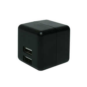 ナカバヤシ USB2ポート スマホ用USB充電コンセントアダプタ 2.4Aタイプ 自動出力制御機能付 IPA-US02/BK