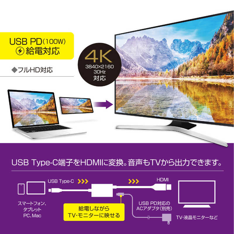 ナカバヤシ ナカバヤシ USB Power Delivery給電ポート搭載 USB-C→HDMI 変換ケーブル 3m USD-PFH30/BK USD-PFH30/BK