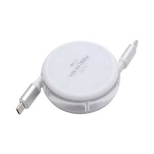 iJoV USB Type-C P[u R[h[^Cv USB PD100WΉ mType-CIXEIX /USB Power DeliveryΉn UPD-R01/WH