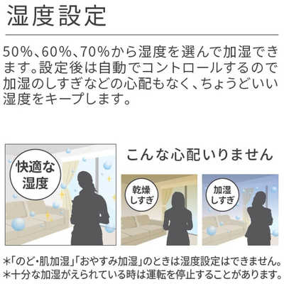 ダイニチ工業 加湿器 Dainichi Plus ［ハイブリッド(加熱＋気化)式