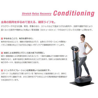 フジ医療器 ダイエットトレーナーコアDT-C1000音波振動マシン。