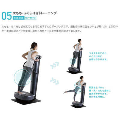 FUJIIRYOKI フジ医療機器 ダイエットトレーナー コア DT-C1000 