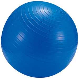 キャプテンスタッグ フィットネスボール 65cm 〈ポンプ付〉 (ブルー) MH6954