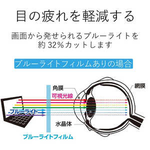 쥳 ELECOM ŻҼѱվݸե (֥롼饤ȥå/㡼 ֥졼(Brain)PW-SB4PW-SA4PW-SH4PW-SJ4꡼/1) DJPTP029BL