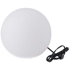 不二貿易 ボール型ランプ 25(LED-E26W40) 66807 不二貿易 ボール型ランプ 25(LED-E26W40) 66807