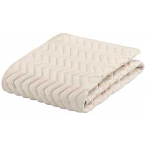 【ベッドパッド】グッドスリーププラス バイオパッド(キングサイズ/195×195cm/キナリ) フランスベッド 【ベッドパッド】グッドスリーププラス バイオパッド(キングサイズ/195×195cm/キナリ) フランスベッド