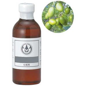 生活の木 オリーブスクワラン 250mL 12-401-4300 生活の木 オリーブスクワラン 250mL 12-401-4300