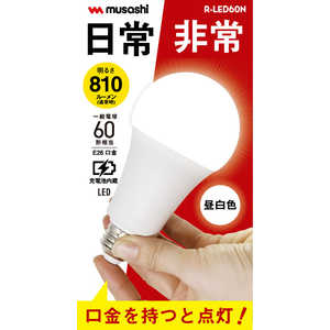 ムサシ LEDマルチ電球60形 昼白色 RLED60-N ムサシ LEDマルチ電球60形 昼白色 RLED60-N