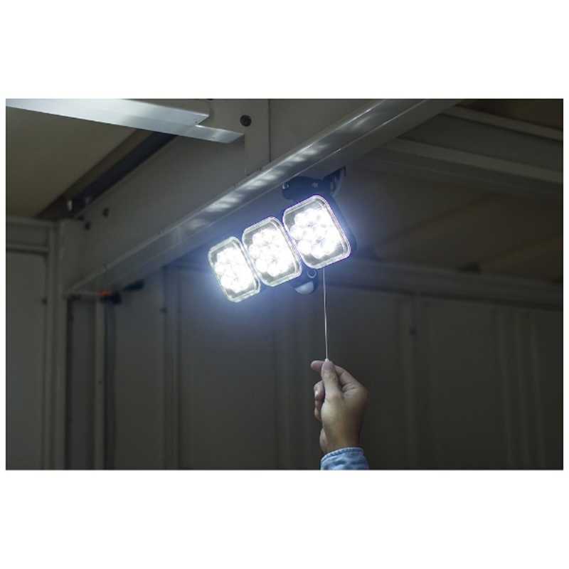 ライテックス ライテックス 12W×3灯フリーアーム式LEDセンサーライト CAC36 CAC36
