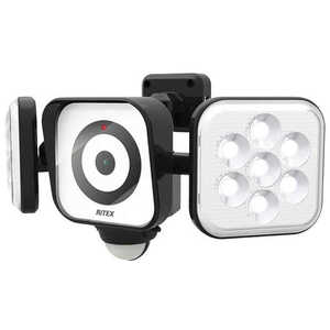ライテックス LEDセンサーライト付防犯カメラ YC160