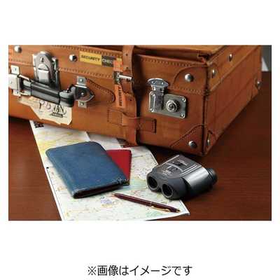 ビクセン 双眼鏡 Vixen MZ 7-20x21 コンパクトズーム [ 7-21倍 / 径