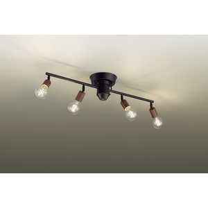 大光電機 LEDロッドスポット リモコン付属 DXL-81521
