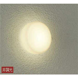 大光電機 浴室照明 シルバー塗装 [電球色 /LED /防雨･防湿型 /要電気工事] DWP37164