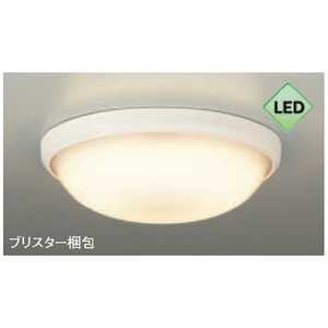 大光電機 浴室照明 白 [電球色 /LED /防雨･防湿型 /要電気工事] DXL81191B