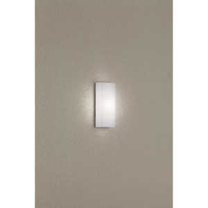 大光電機 LEDアウトドアライト DXL81200B 大光電機 LEDアウトドアライト DXL81200B