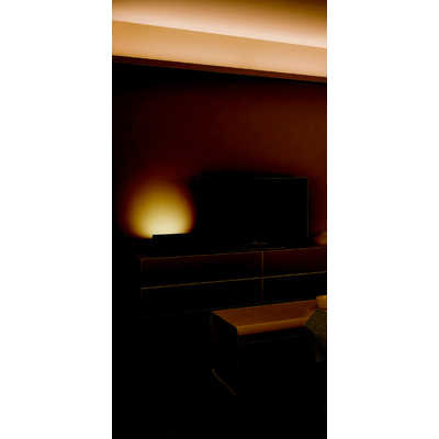 大光電機 ブラケットライト ウォールナット色塗装 [電球色 /LED /要電気工事] DXL81282C