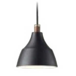 大光電機 LED照明 ペンダントライト 電球色 DXL-81303 大光電機 LED照明 ペンダントライト 電球色 DXL-81303