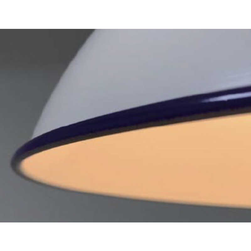 大光電機 大光電機 LEDペンダントライト [電球色] DXL-81307 DXL-81307