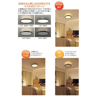 大光電機 LED照明 シーリングライト 12畳 調光 調色 リモコン付属 黒