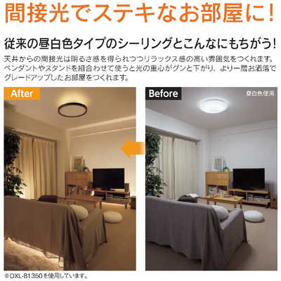 大光電機 LED照明 シーリングライト 8畳 調光 調色 間接光 リモコン