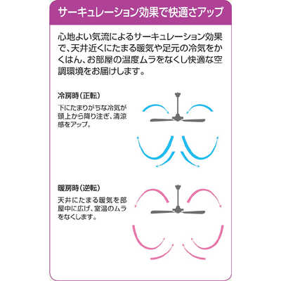 大光電機 DCモーターシーリングファン ASN-016 [リモコン付き] の通販