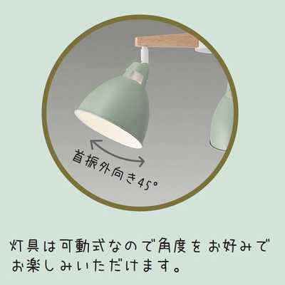 大光電機 LED照明 ペンダントライト 電球色 3灯 電球付属 スモーク 