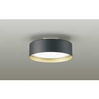 大光電機 LED小型シーリングライト ［昼光色 /LED］ DXL-81478C の通販
