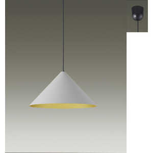 ŵ LED ڥȥ饤 ŵ忧 ڡ륰졼ƥ DXL-81482