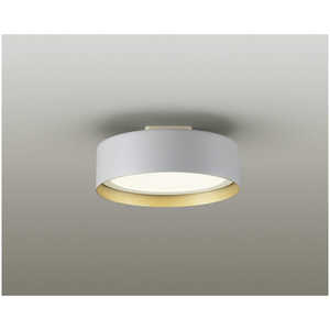 ŵ LED󥰥饤 ŵ忧 /LED DXL-81484C
