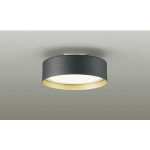 ŵ LED󥰥饤 ŵ忧 /LED DXL-81485C